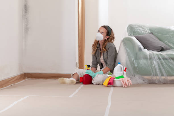 Reliable Mold Remediation contractor in Spring Hope, NC by Mold Remediation HQ